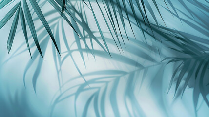 Wall Mural - light blue background palm leaves and copy space, summer backdrop