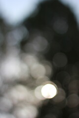 Wall Mural - an abstract view of bright white lights shimmering in the darkness.