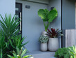 © Austockphoto - Grey modern looking house with multiple plants on its entrance