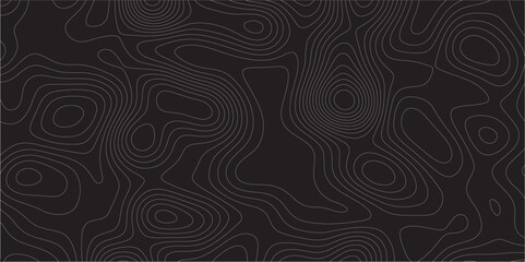 Poster - Abstract white on black background Topographic line map pattern. Contour elevation topographic and textured Background Modern design with black background with topographic wavy patted.	
