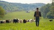 © Karina - Farmer walking through a grassy field with grazing cows in spring