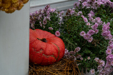 Close-up side view of fresh ripe orange pumpkin lying by purple Chrysanthemum flowers on straw stack on fall season agricultural fair. Soft focus. Copy space. Harvest festival street decoration theme.