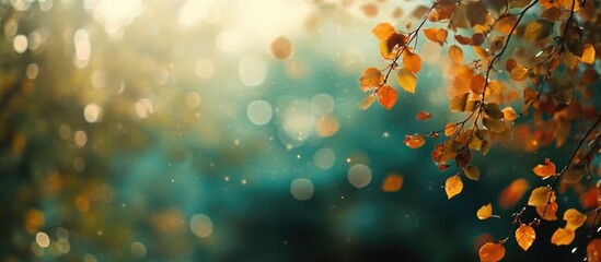 Poster - Autumn Landscape Blurred Background Autumn Leaves Beautiful Nature Bokeh Forest Background Autumnal Natural Bokeh Backdrop