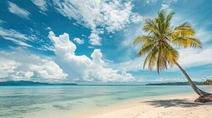 Aufkleber - A tranquil tropical beach featuring a palm tree crystal clear water and soft clouds against a vibrant sky