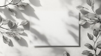 Poster - Blank white horizontal poster or card mockup featuring soft tree leaves and branch shadows against a light grey concrete wall background Flat lay perspective