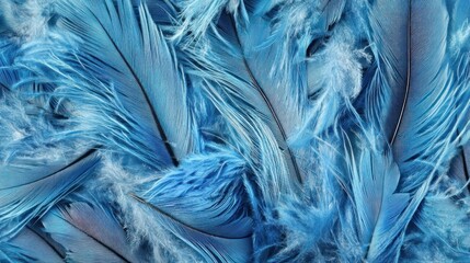  Close-up of overlapping blue feathers creating a textured pattern. Soft and detailed macro photography.