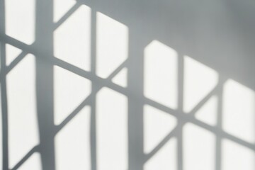 Poster - Shadow overlay effect foliage mockup with natural diagonal leaves tree branch shadows and sunlight on white wall.