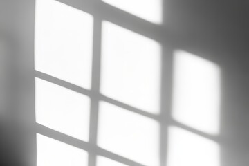 Poster - There are black shadows on the concrete wall with an overlay effect of a shadow overlay. The scene is filled with natural light. There is a blank background for design.