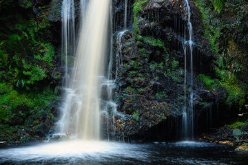 Wall Mural - hindhope linn close-up, a waterfall located at the northern end of the kielder forest drive in north