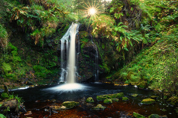 Wall Mural - sunstar above hindhope linn, a waterfall located at the northern end of the kielder forest drive in 