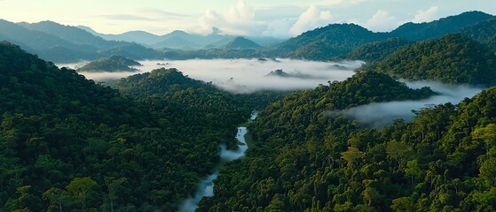 A breathtaking aerial view of lush green mountains enveloped in mist, with a serene river winding through the dense forest landscape.