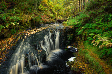 Wall Mural - cascade below hindhope linn waterfall, located at the northern end of the kielder forest drive in no