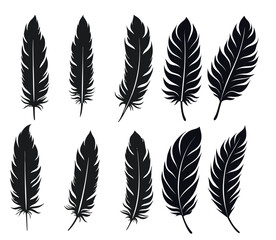 Naklejka na meble Creative Feather Icons Beautifully Designed Winged Shapes Vector