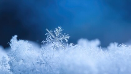 Wall Mural - Snowflakes 