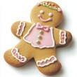 © Habibur Rahaman - Gingerbread girl cookie decorated with pink frosting