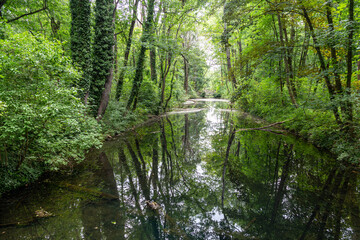 Wall Mural - English park and river in ancient Rusovce castle. Bratislava.  Slovakia