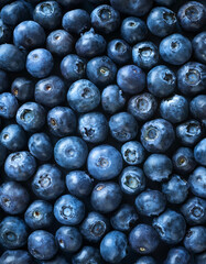 Blueberries. Creative background design with food theme, focus on the pile of fresh Blueberries