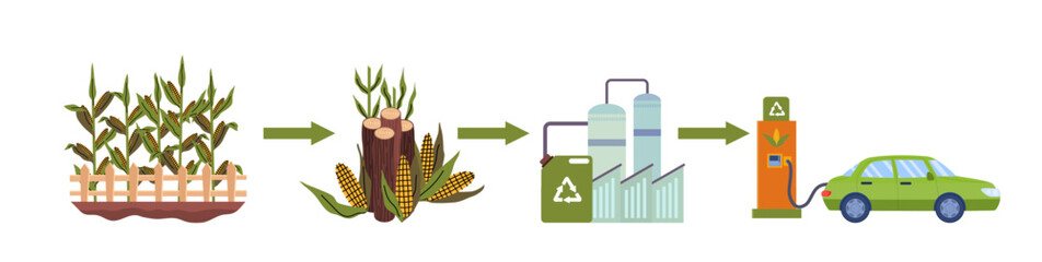 Poster - cartoon color biofuel life cycle elements set concept flat design style. vector illustration of prod