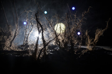 Wall Mural - spooky dark landscape showing silhouettes of trees in the swamp on misty night.