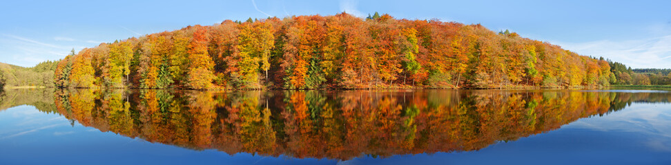 Wall Mural - fall panoramic forest in the lake with reflection.
