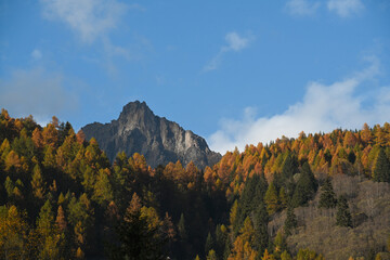 Wall Mural - montagna autunno Val di Sole pejo 