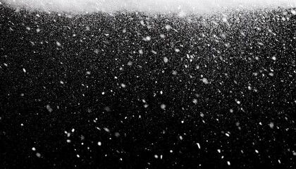 Wall Mural - falling white snow on the black background snowflakes to overlay