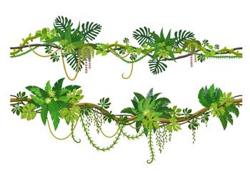 Wall Mural - liana vine branches of tropical jungle forest and ivy creeper climbing plants, vector cartoon trees.