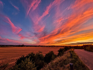 A breathtaking sunset over an open field, with vibrant pink, orange, and purple clouds streaking across the sky, casting a warm glow on the landscape and a winding road