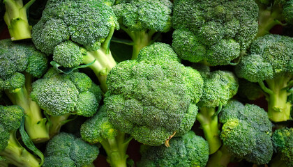 Broccoli Vegetables, Creative background design with food theme, focus on the pile of fresh Broccoli Vegetables