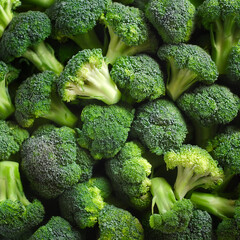 Broccoli Vegetables, Creative background design with food theme, focus on the pile of fresh Broccoli Vegetables