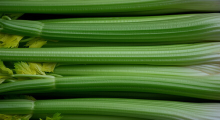 Wall Mural - Celery stalks close up fresh green vegetables healthy eating organic produce