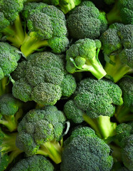 Broccoli Vegetables, Creative background design with food theme, focus on the pile of fresh Broccoli Vegetables