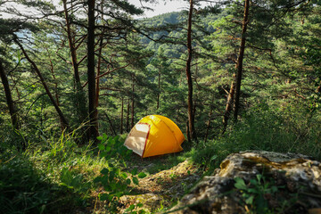 modern camping tent in forest at summer