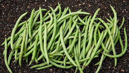 Freshly picked green beans on soil vibrant and curved with dirt particles for a garden fresh look