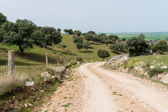 camino de tierra castilla zahorra