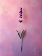 Poster - Single lavender stem on a pastel pink background, soft natural light, minimalist with warm hues