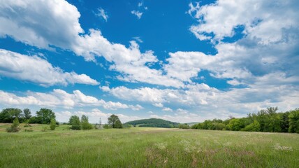 Serene landscape with green fields under a bright blue sky and fluffy white clouds.