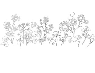 Wild flower botanical decorative sketch illustration set