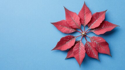Poster - Minimalist Snowflake Art with Poinsettia Petals Perfect for Christmas and Winter Solstice Decor