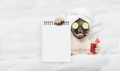 Fototapete - Funny Pug puppy with towel on it head,with cream on it face and a pieces of cucumber on it eyes holds watermelon cocktail and relaxing on the bed at beauty salon and showing empty list. Top down view