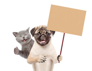 Aufkleber - Happy cat shows thumbs up gesture. Pug puppy shows blank placard. isolated on white background