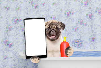 Leinwandbilder - Funny Pug puppy takes the bath and shows big smartphone with white blank screen in it paw. Empty space for text