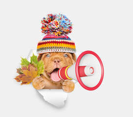 Poster - Happy puppy wearing warm hat holds dry leaves and looks through the hole in white paper and barking into the megaphone