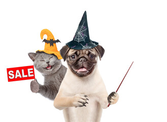 Poster - Happy cat and Pug puppy wearing  hats for halloween looks at camera. Dog points away on empty space. Kitten  shows signboard with labeled 