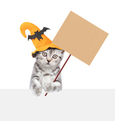 Poster - Cute Kitten wearing hat for halloween looks above white banner and shows blank cardboard on wooden stick. isolated on white background