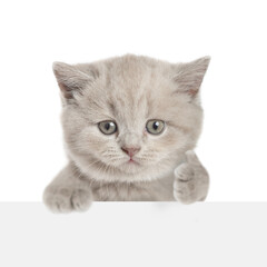 Aufkleber - Cute tiny kitten looks above blank white banner and shows thumbs up gesture. isolated on white background