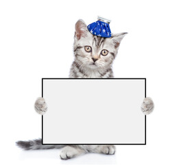 Poster - Sick kitten with ice bag or ice pack on his head holds blank white banner with empty space for text. Isolated on white background