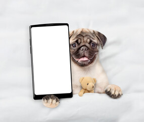Fototapete - Pug puppy lying with favorite toy beat on a bed at home and showing big smartphone with white blank screen in it paw. Top down view. Empty space for text