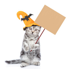 Poster - Cute Kitten with hat for halloween holds blank placard. isolated on white background