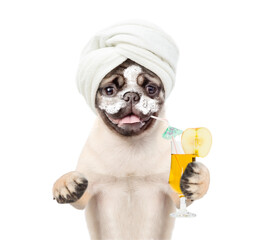 Leinwandbilder - Funny Mastiff puppy with towel on it head and with cream on his face and cream on his face holds tropic cocktail. Top down view